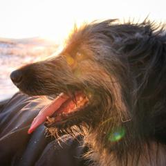 Гостевой дом Филоксения, Хужир, Иркутская область