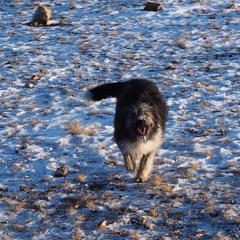 Гостевой дом Филоксения, Хужир, Иркутская область