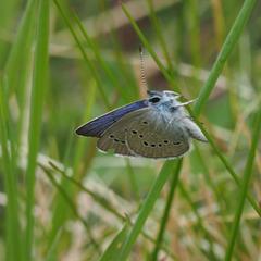 Гостевой дом Филоксения, Хужир, Иркутская область