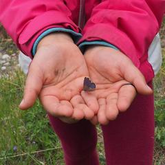 Гостевой дом Филоксения, Хужир, Иркутская область