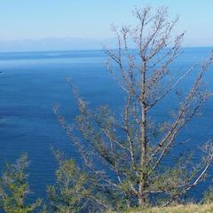 Гостевой дом Филоксения, Хужир, Иркутская область