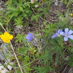 Гостевой дом Филоксения, Хужир, Иркутская область