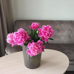 Гостевой дом Флагман, Хужир, Иркутская область