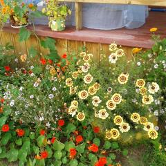 Гостевой дом Жуковых, Хужир, Иркутская область