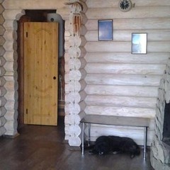 База отдыха Остров на раскатах, Володарский район, Астраханская область