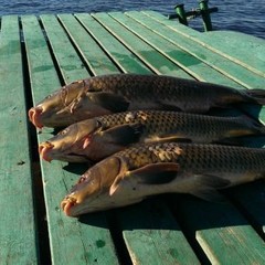 База отдыха Подводный рай, Цветное, Астраханская область