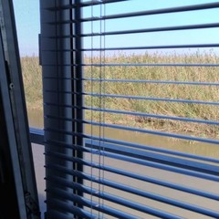 Рыболовно-охотничий клуб Пиранья, Володарский район, Астраханская область