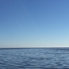 Рыболовно-охотничий клуб Пиранья, Володарский район, Астраханская область