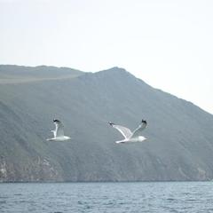 Гостевой дом Филоксения, Хужир, Иркутская область