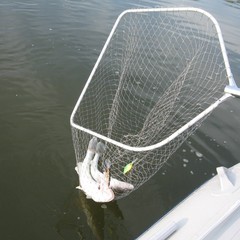 Туристическая база Рыболовная база У Романыча, Церковный, Астраханская область