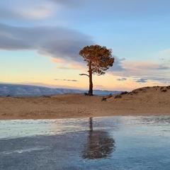 Гостевой дом Филоксения, Хужир, Иркутская область