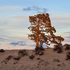 Гостевой дом Филоксения, Хужир, Иркутская область