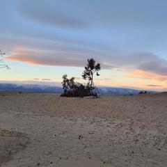 Гостевой дом Филоксения, Хужир, Иркутская область