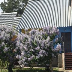 База отдыха Чайка, Цимлянск, Ростовская область