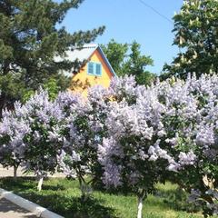 База отдыха Чайка, Цимлянск, Ростовская область