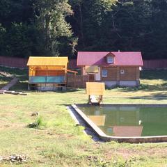 Шале Honey Place, Чвижепсе, Краснодарский край