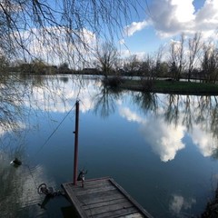 База отдыха Витязь, Чебургольская, Краснодарский край