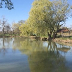 База отдыха Витязь, Чебургольская, Краснодарский край