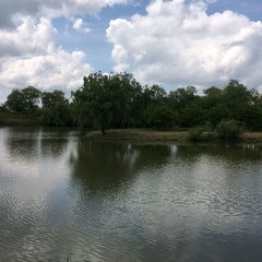 База отдыха Витязь, Чебургольская, Краснодарский край