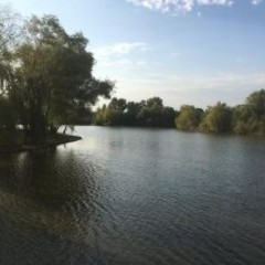 База отдыха Витязь, Чебургольская, Краснодарский край