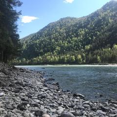 Мини-отель У Горыныча, Чемал, Республика Алтай