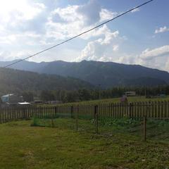 Гостевой дом Госпожа Удача, Чемал, Республика Алтай