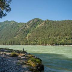 База отдыха Зеленые Холмы, Чемал, Республика Алтай