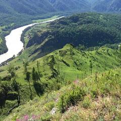 Гостевой дом Госпожа Удача, Чемал, Республика Алтай