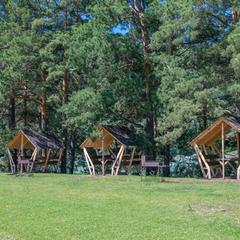 База отдыха Зеленые Холмы, Чемал, Республика Алтай