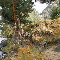 Парк-отель KLEVER resort, Чемал, Республика Алтай