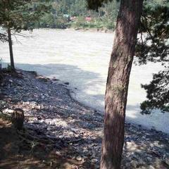 База отдыха Зеленые Холмы, Чемал, Республика Алтай