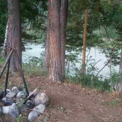 База отдыха Зеленые Холмы, Чемал, Республика Алтай