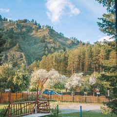 База отдыха Лисья нора, Чемальский район, Республика Алтай