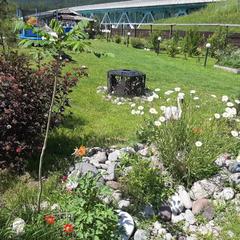 База отдыха Елена, Чепош, Республика Алтай