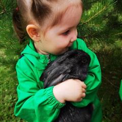 Эко-отель Баюта Алтай, Чепош, Республика Алтай