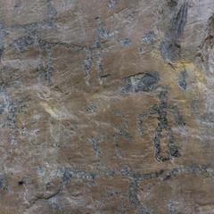 Эко-отель Баюта Алтай, Чепош, Республика Алтай