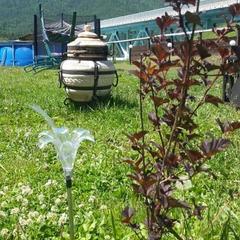 База отдыха Елена, Чепош, Республика Алтай