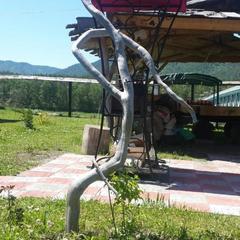 База отдыха Елена, Чепош, Республика Алтай