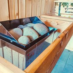 Эко-отель Медведь и Ягодка, Чепош, Республика Алтай