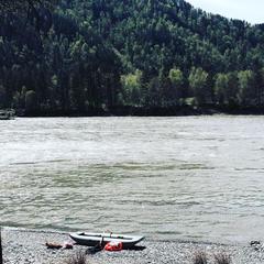 Эко-отель Медведь и Ягодка, Чепош, Республика Алтай