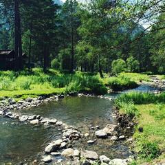 Эко-отель Медведь и Ягодка, Чепош, Республика Алтай