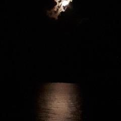 Отель Чемитка Чемитоквадже, Чемитоквадже, Краснодарский край