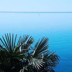 Отель Чемитка Чемитоквадже, Чемитоквадже, Краснодарский край