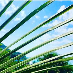 Отель Чемитка Чемитоквадже, Чемитоквадже, Краснодарский край