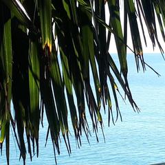 Отель Чемитка Чемитоквадже, Чемитоквадже, Краснодарский край