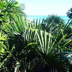 Отель Чемитка Чемитоквадже, Чемитоквадже, Краснодарский край