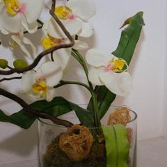 Гостиница VIP Hotel, Череповец, Вологодская область