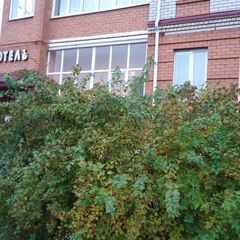 Гостиница Бизнес отель Весна 2, Череповец, Вологодская область