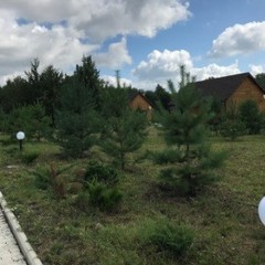 Парк-отель Зеленые холмы, Краснодарский край