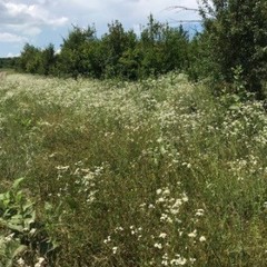 Парк-отель Зеленые холмы, Краснодарский край